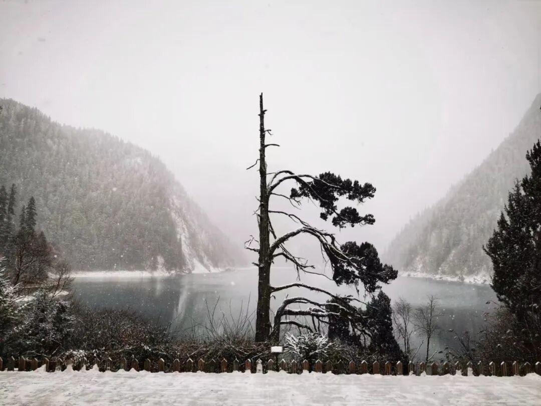 九寨沟发文：严禁一切非法穿越行为