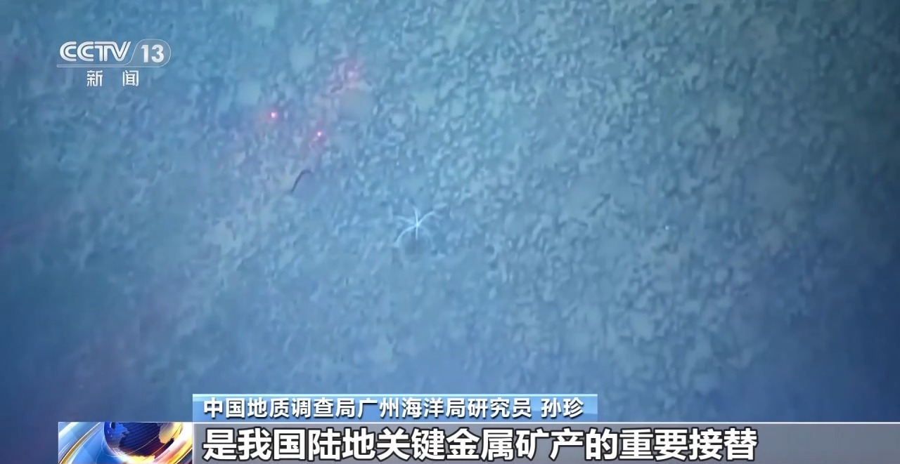 “海洋地质六号”发现了哪些深海宝藏？画面公布